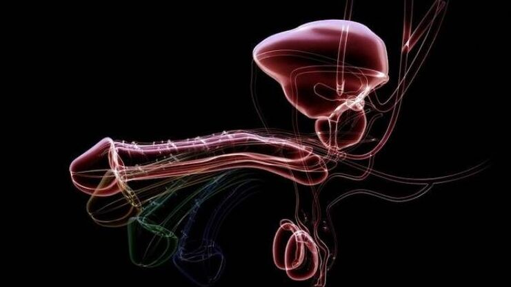 De ce apare scurgerile atunci când bărbații sunt entuziasmați și este normal